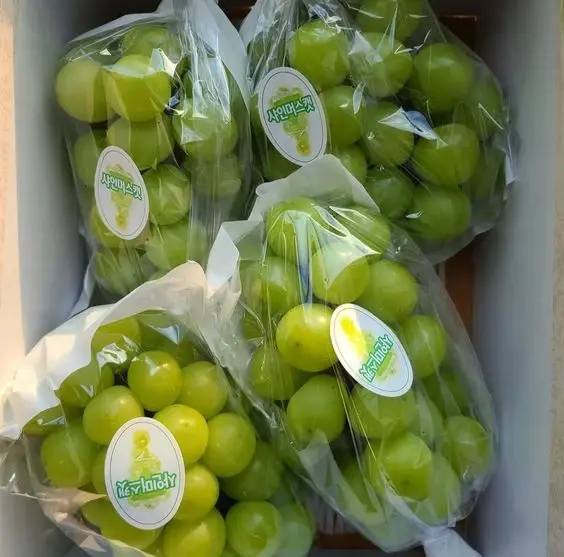 in-tem-hoa-qua-tem-dan-1