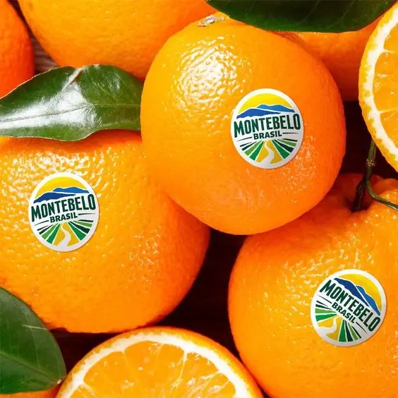 in-tem-hoa-qua-tem-dan-6